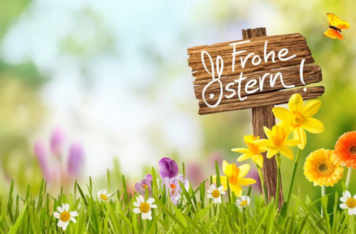 Bild Blumenwiese